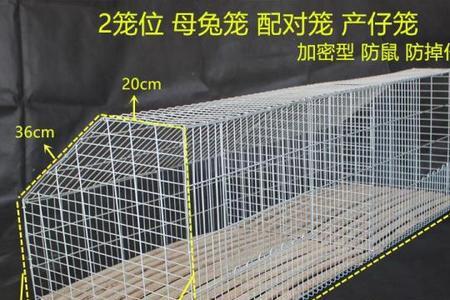 怎么把兔子放回笼子里