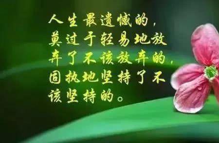 人生矛盾的经典语录