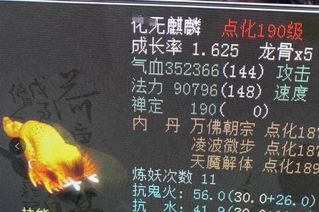 大话万兽和圣兽的区别