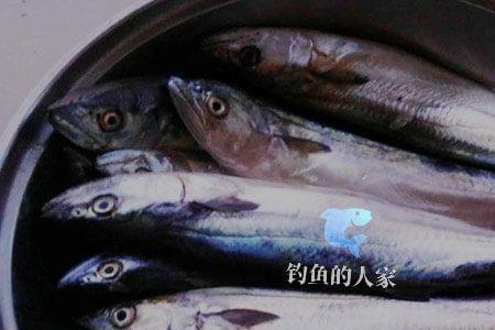 燕尾鲅鱼的做法大全