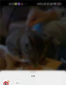 微博视频怎么看访客