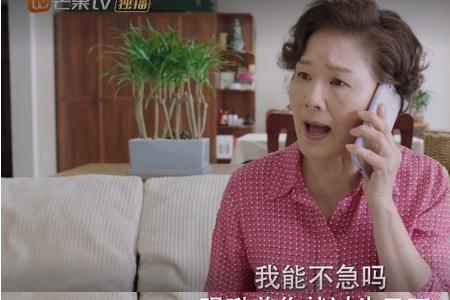 我在他乡挺好的许言怎么和好的