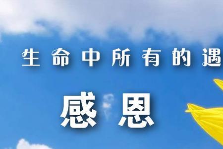 要感谢伤害过你的人是谁说的