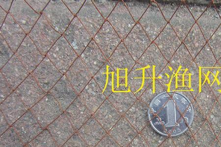 半米左右浅水如何捕鱼