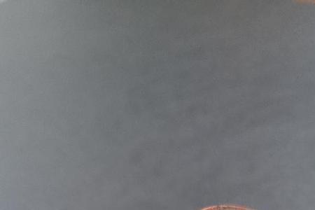 萝卜章是什么意思