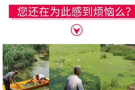 浮萍净使用方法