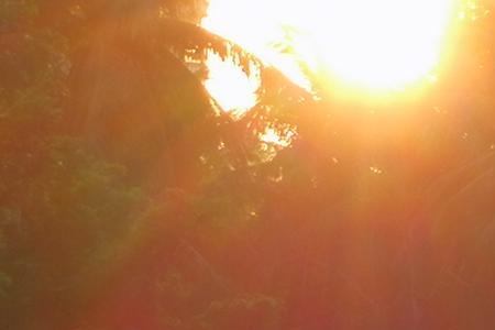 太阳依旧光芒万丈什么意思