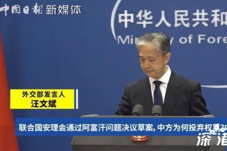 联合国投弃权票是什么意思