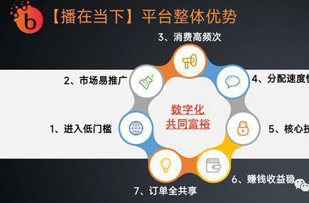 播在当下创始人