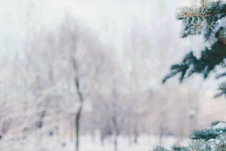 雪花对云叶全文注解