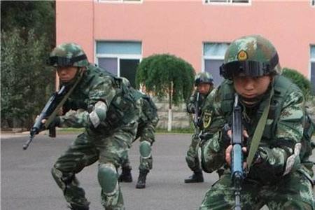 小说国之利刃讲的什么