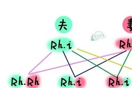 夫妻基因不合是什么意思
