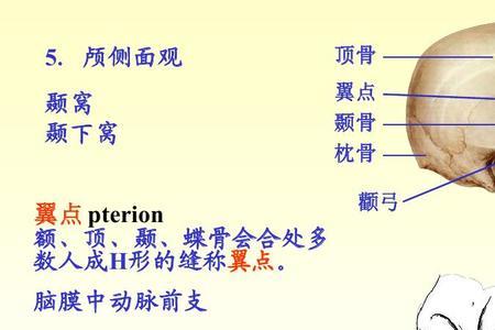 何为脑腔发音