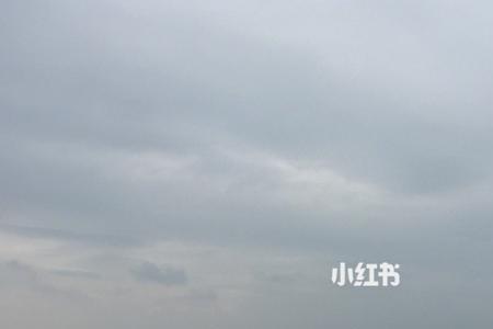 跟着风走什么意思
