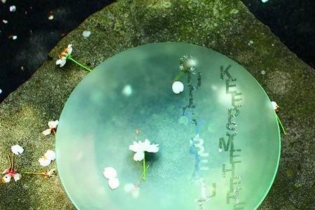 心若惊鸿什么意思