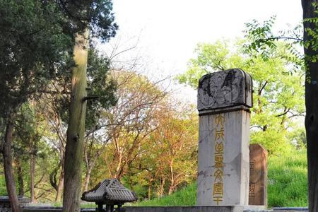 孔子墓被掘开
