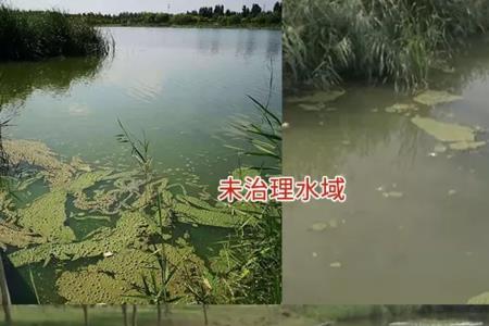 绿水为什么会变臭