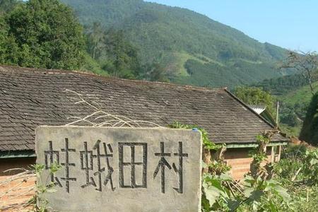 农村四个半人口是多少亩田