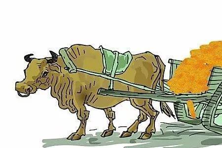 父亲就像拉车牛歌词