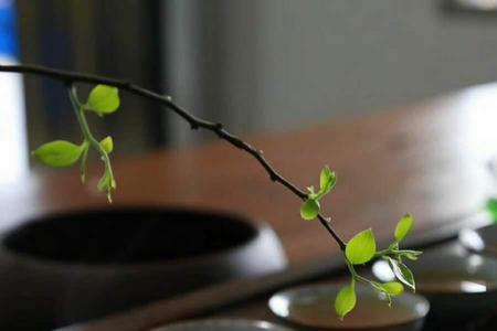 如无共鸣沉默既安是什么意思