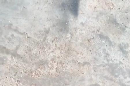 踏破铁鞋无觅处猜三个数字