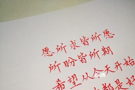 所偿皆所愿意思