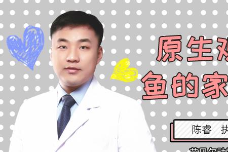 鱼缸怎么养雅鱼