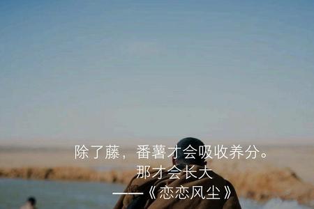 知所从来明其将往的出处