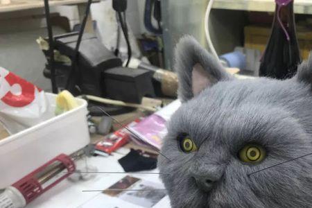 为什么不用猫皮毛做包包