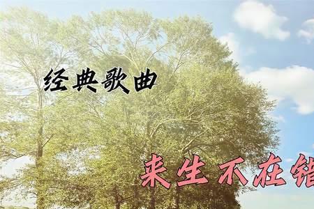 不再错过你歌曲表达什么意思