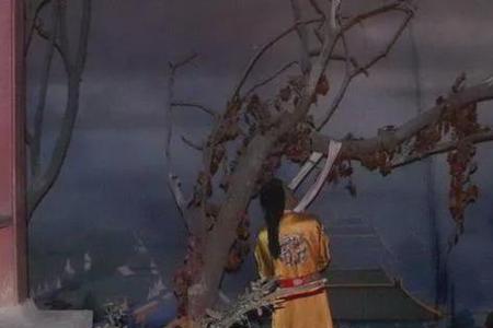 穿越成朱由检救下袁崇焕的小说