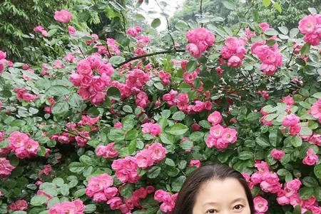 孤芳不自赏，静待满园香什么意思