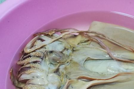 水发鱿鱼什么意思