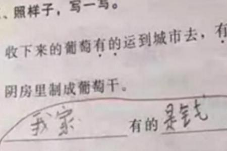 用有趣极了造句