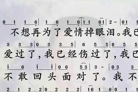 我们曾爱过是什么歌的歌词