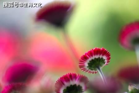 怎么对付左右逢源的人