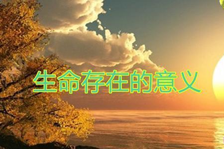 存在的意义为零怎么回复