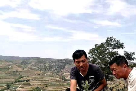 通讯员和记养员的区别