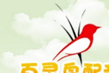 网上哪里能买到百灵鸟