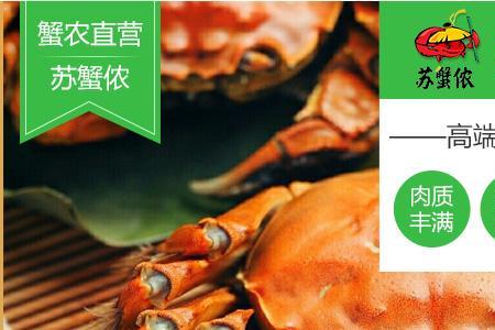 正宗阳澄湖大闸蟹有啥区别