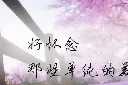 思念如风是什么意思