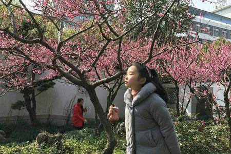 闻一闻的解释
