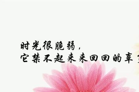 灿烂的前行经典语录