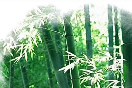 开心快乐沉默是金什么意思