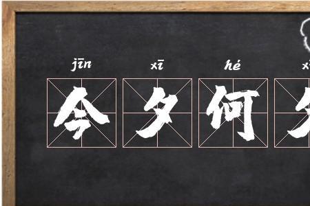 今夕定何夕什么意思