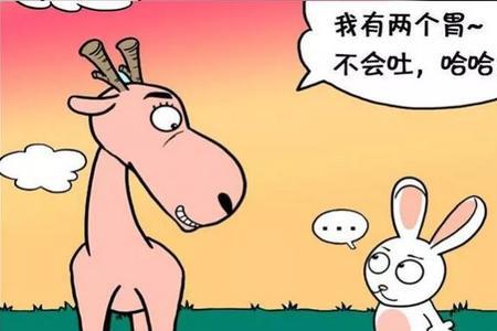 小兔子掉进坑里用什么方法救它