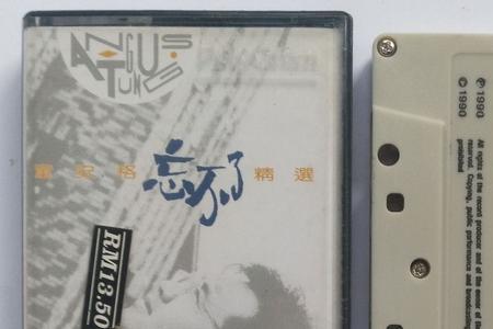 童安格忘不了歌词意思