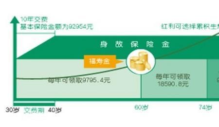 国寿福禄双喜两全保险48年