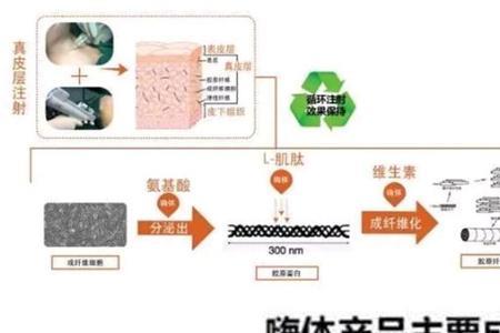 嗨体和童颜哪个好