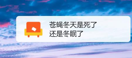 高温36度能热死苍蝇吗